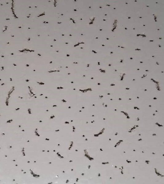 تایل 60×60 معدنی آکوستیک طرح کراس فیشر تایل مینرال آکوستیک کراس فیشر طرح کرم خورده