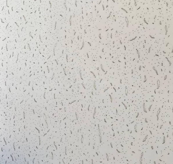 قیمت تایل آکوستیک معدنی سقفی در طرح های کراس فیشر، فیلیگران، اکومین پلنت، فایب فرسکو AMF